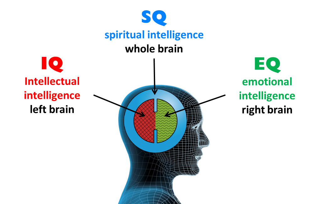 about-3q-institute