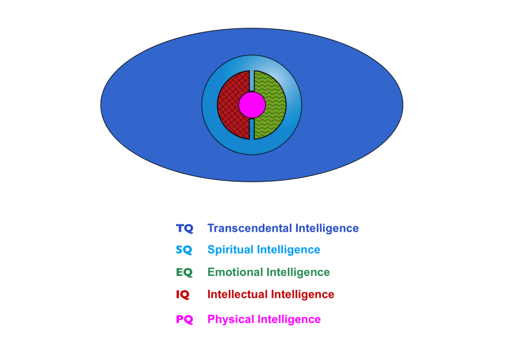 Full Spectrum of Intelligence