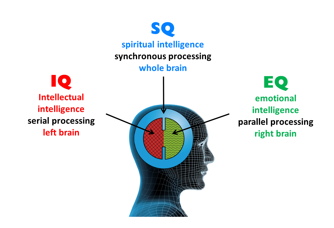 Three Dimensions of Intelligence